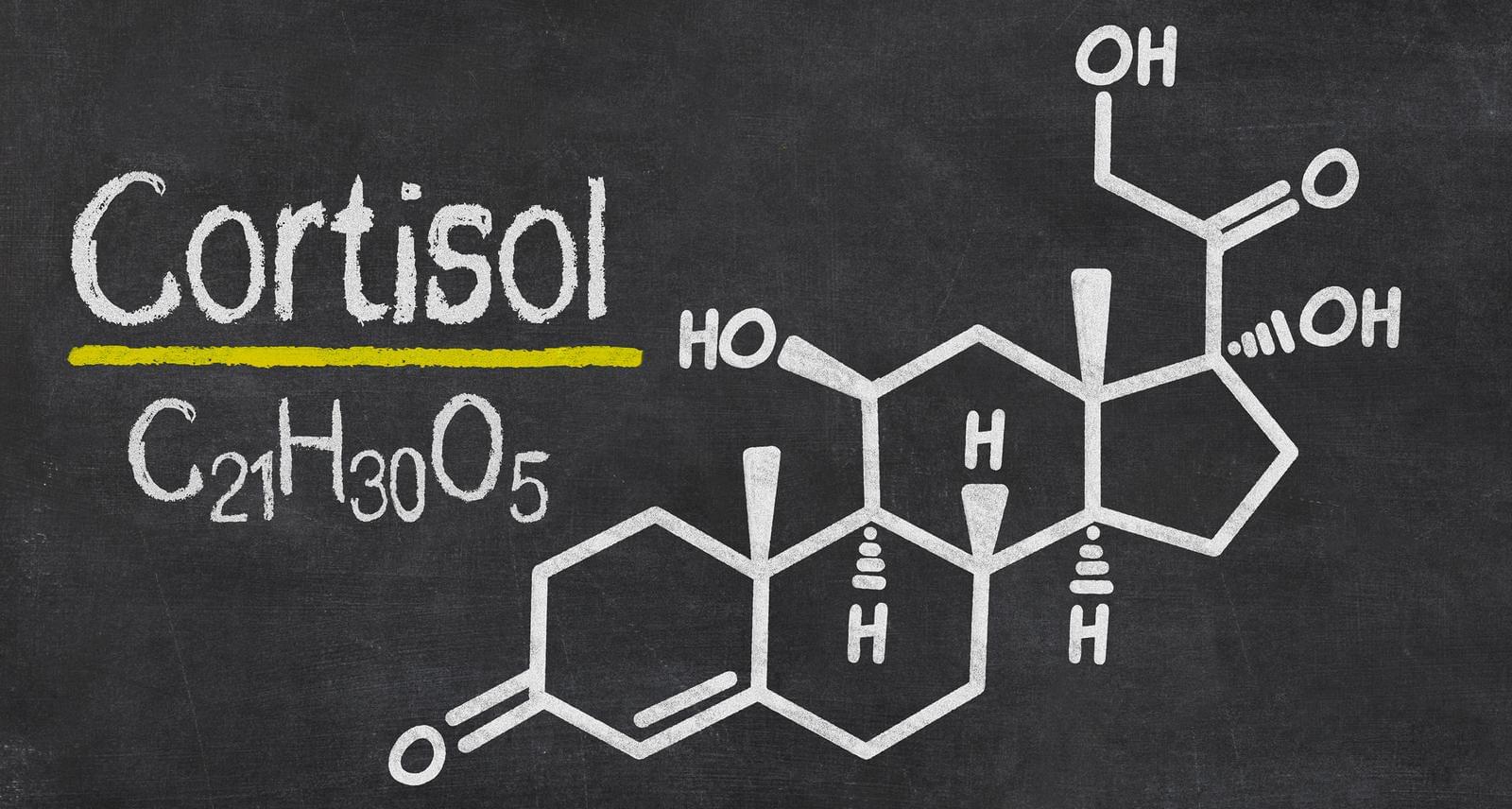 Кортизол - гормон стресса. Как нормализовать кортизол?