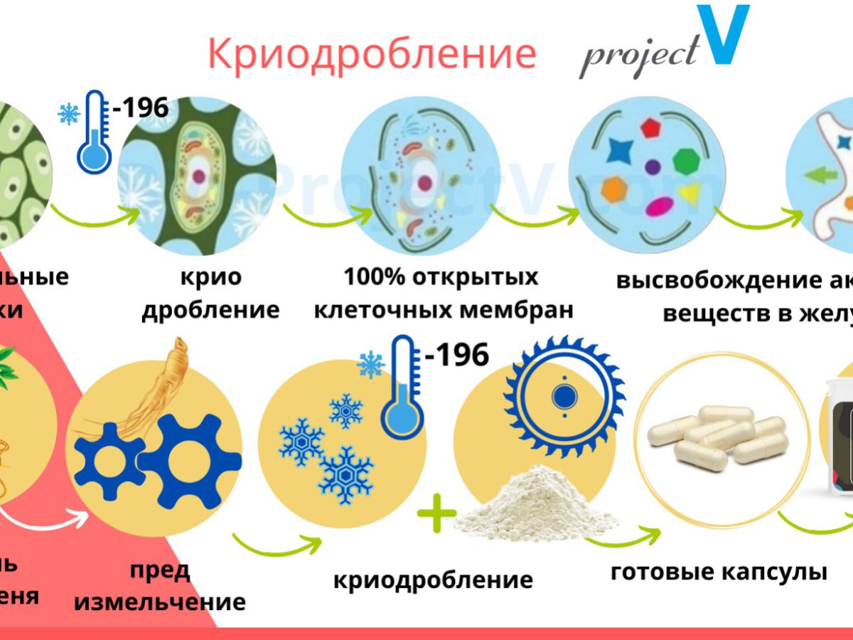 Криогенное измельчение БАД, технология криодробление, криопомол